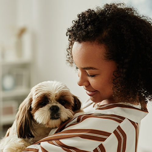 Minimal side view portrait of black young woman holding cute pet dog at home and smiling