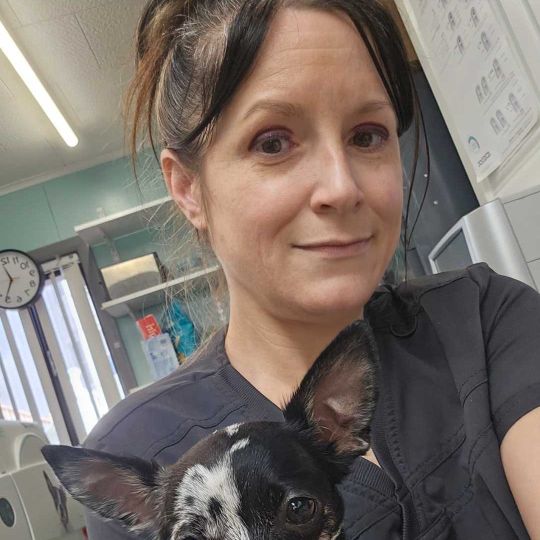 Vet with dog